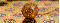 propolisky.gif